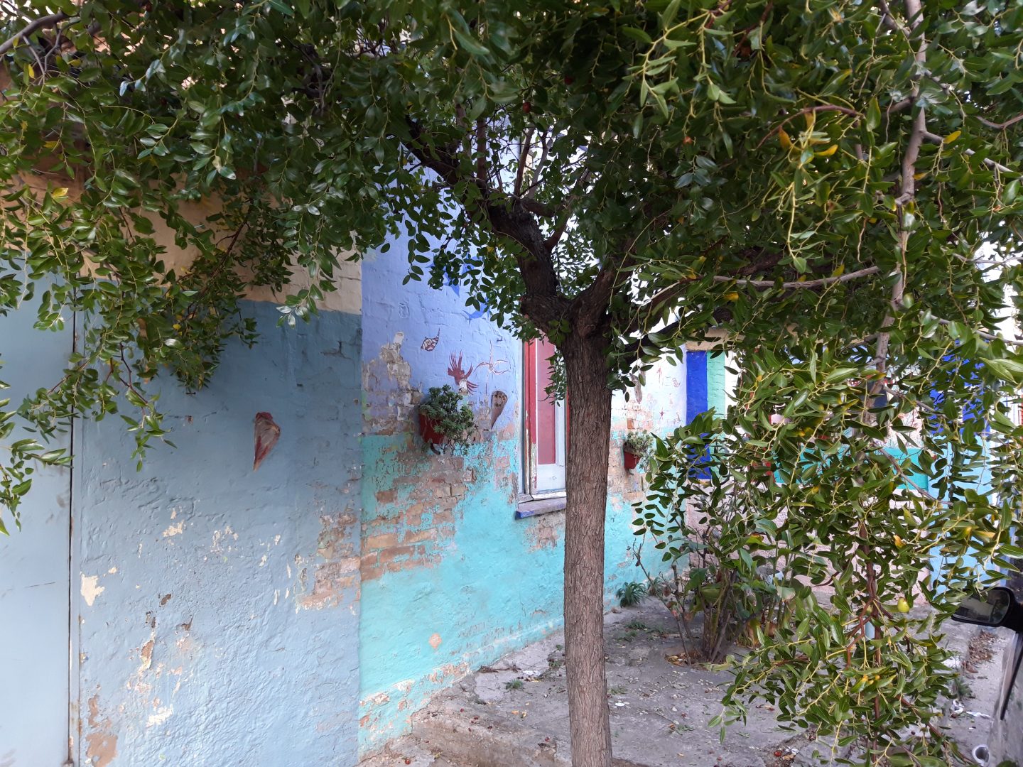 ADDIO ULTIMA CASA CELESTE DI  BORGOMARINO